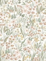 Lea Blush Peel and Stick Wallpaper WTG-245073 by Rifle Paper Co Wallpaper for sale at Wallpapers To Go