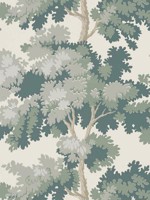 Raphael Green Wallpaper WTG-246024 by Scalamandre Wallpaper for sale at Wallpapers To Go