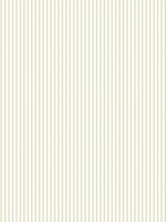 Candy Stripe Sage Green Wallpaper WTG-250499 by Galerie Wallpaper for sale at Wallpapers To Go