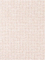 Remy Dot Clay Fabric WTG-255106 by Thibaut Fabrics for sale at Wallpapers To Go