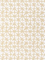 Soren Straw Fabric WTG-255112 by Thibaut Fabrics for sale at Wallpapers To Go