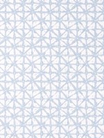 Soren Powder Fabric WTG-255114 by Thibaut Fabrics for sale at Wallpapers To Go