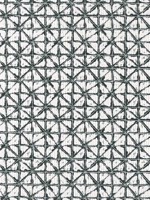 Soren Onyx Fabric WTG-255117 by Thibaut Fabrics for sale at Wallpapers To Go