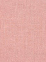 Veda Clay Fabric WTG-255165 by Thibaut Fabrics for sale at Wallpapers To Go