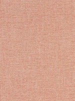Sacchi Terracotta Fabric WTG-255195 by Thibaut Fabrics for sale at Wallpapers To Go
