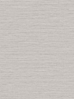Edmond Faux Sisal Warm Macadamia Wallpaper WTG-256095 by Dupont Wallpaper for sale at Wallpapers To Go