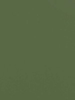 Alto Velvet Juniper Fabric WTG-260568 by Thibaut Fabrics for sale at Wallpapers To Go