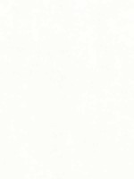 Celeste Velvet Ivory Fabric WTG-260570 by Thibaut Fabrics for sale at Wallpapers To Go