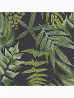 Midsummer Fern Black and Green Tropical Leaves Wallpaper WTG-262731 by Graham and Brown Wallpaper for sale at Wallpapers To Go