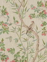 Claire Coral and Green Fabric WTG-263707 by Thibaut Fabrics for sale at Wallpapers To Go