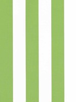Cabana Stripe Kiwi Fabric WTG-263916 by Thibaut Fabrics for sale at Wallpapers To Go