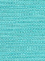 Cameron Capri Fabric WTG-263926 by Thibaut Fabrics for sale at Wallpapers To Go