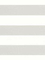 Meridian Dove Fabric WTG-264017 by Thibaut Fabrics for sale at Wallpapers To Go