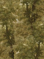 Branchy Autumn Wallpaper WTG-265553 by Mind the Gap Wallpaper for sale at Wallpapers To Go