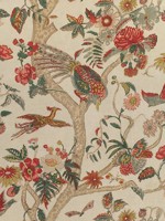 Coromandel Wheat Fabric WTG-265589 by Thibaut Fabrics for sale at Wallpapers To Go