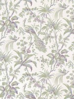Peacock Toile Green and Plum Fabric WTG-266779 by Anna French Fabrics for sale at Wallpapers To Go