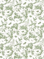 Newlands Toile Green Fabric WTG-266785 by Anna French Fabrics for sale at Wallpapers To Go