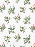 Woodland Green and Blush Fabric WTG-266801 by Anna French Fabrics for sale at Wallpapers To Go