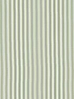 Holden Stripe Green Fabric WTG-266813 by Anna French Fabrics for sale at Wallpapers To Go