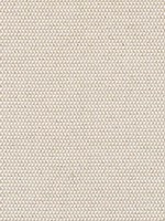 Pollux Flax Fabric WTG-266839 by Thibaut Fabrics for sale at Wallpapers To Go