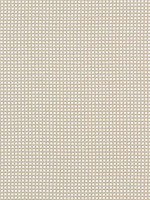 Darcy Flax Fabric WTG-266842 by Thibaut Fabrics for sale at Wallpapers To Go