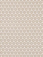 Genie Sand Fabric WTG-266855 by Thibaut Fabrics for sale at Wallpapers To Go
