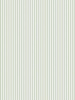 Ticking Stripe Green Wallpaper WTG-266924 by Galerie Wallpaper for sale at Wallpapers To Go