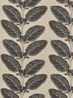 Lacinato Basalt Black Fabric WTG-268281 by Thibaut Fabrics for sale at Wallpapers To Go