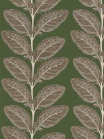 Lacinato Wild Sage Fabric WTG-268283 by Thibaut Fabrics for sale at Wallpapers To Go
