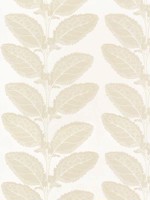 Lacinato Birch Fabric WTG-268284 by Thibaut Fabrics for sale at Wallpapers To Go