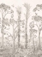 Tall Trees Sepia Wallpaper WTG-268752 by G P & J Baker Wallpaper for sale at Wallpapers To Go