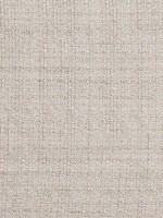 Padua Vapor Fabric WTG-269446 by Coraggio Fabrics for sale at Wallpapers To Go
