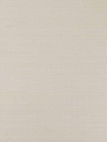 Rafia Plain Beige Wallpaper WTG-269982 by Armani Casa Wallpaper for sale at Wallpapers To Go