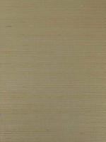 Rafia Plain Brown Wallpaper WTG-269983 by Armani Casa Wallpaper for sale at Wallpapers To Go