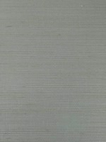 Rafia Plain Light Blue Grey Wallpaper WTG-269984 by Armani Casa Wallpaper for sale at Wallpapers To Go