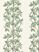 Mangrove Tree Sage Fabric WTG-271336 by Thibaut Fabrics for sale at Wallpapers To Go