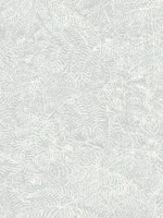 Fern Texture Light Green Sage Wallpaper WTG-272465 by Veer Decor Wallpaper for sale at Wallpapers To Go
