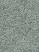 Fern Texture Dark Green Wallpaper WTG-272483 by Veer Decor Wallpaper for sale at Wallpapers To Go