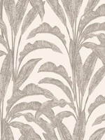 Luxe Tropical Palm Beige and Cream Wallpaper WTG-272958 by Veer Decor Wallpaper for sale at Wallpapers To Go