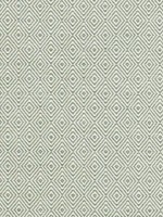 Theo Hemlock Fabric WTG-274612 by Thibaut Fabrics for sale at Wallpapers To Go