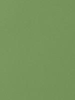 Salta Kiwi Fabric WTG-274663 by Thibaut Fabrics for sale at Wallpapers To Go