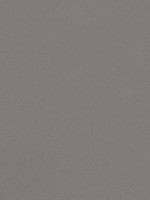 Salta Ash Fabric WTG-274668 by Thibaut Fabrics for sale at Wallpapers To Go