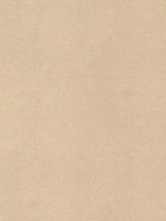 Gaucho Suede Fabric WTG-274682 by Thibaut Fabrics for sale at Wallpapers To Go