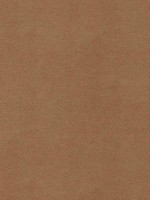 Gaucho Cedar Fabric WTG-274683 by Thibaut Fabrics for sale at Wallpapers To Go