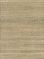 Silk Wallpaper JL107 by Astek Wallpaper for sale at Wallpapers To Go