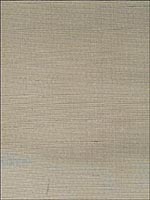 Metallic Silk Wallpaper JL116 by Astek Wallpaper for sale at Wallpapers To Go