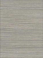 Haruki Silver Sisal Wallpaper 5004700 by Schumacher Wallpaper for sale at Wallpapers To Go