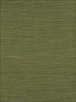 Ningbo Olive Sisal Wallpaper 524316 by Schumacher Wallpaper for sale at Wallpapers To Go