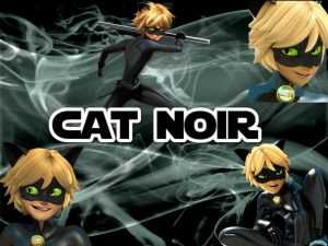 Cat Noir Desktop Wallpaper 4k