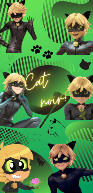 Cat Noir Wallpaper HD